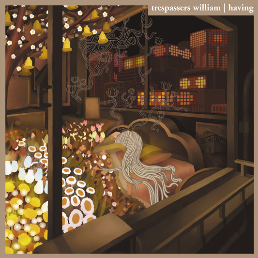Having 2xLP (20th Anniversary Edition)