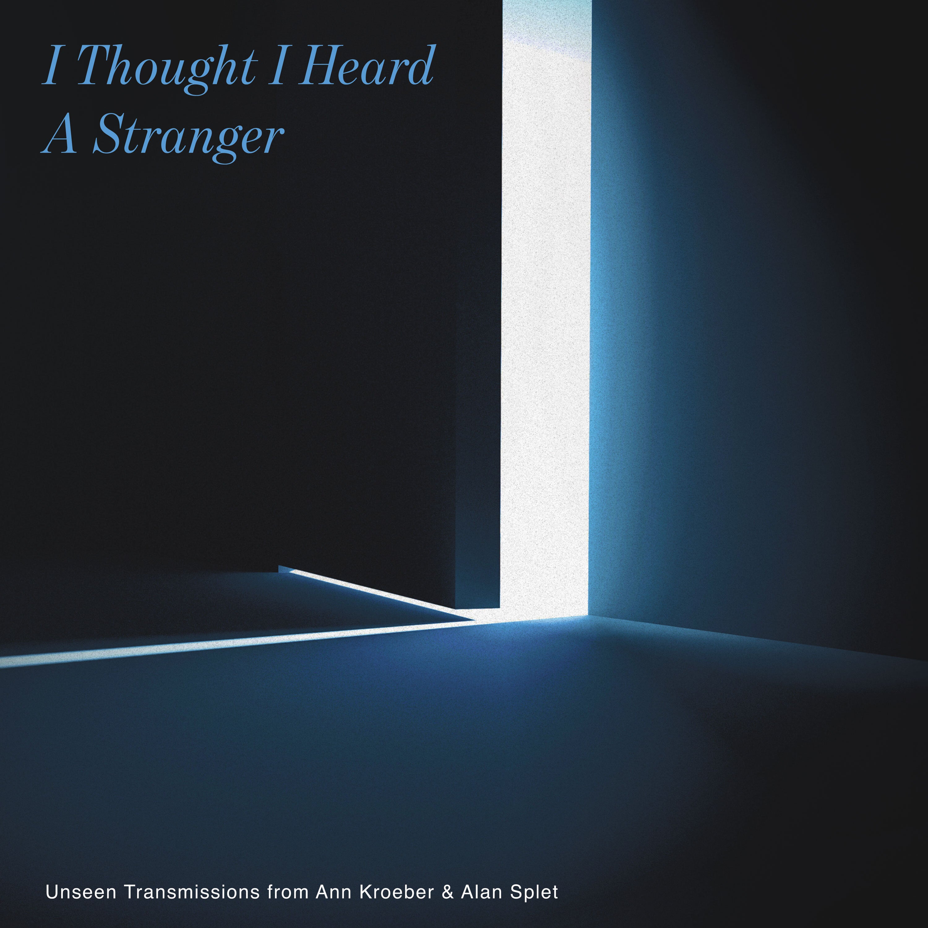 I Thought I Heard a Stranger LP – Translation Loss Records