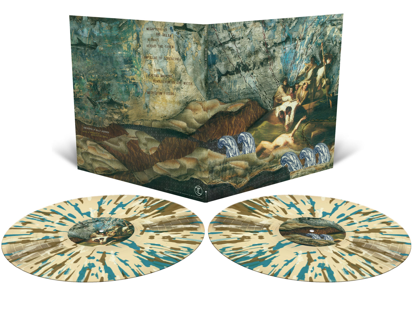 Metridium Fields 2xLP (Reissue / Remaster)