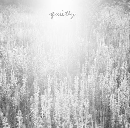 Quietly 2xLP